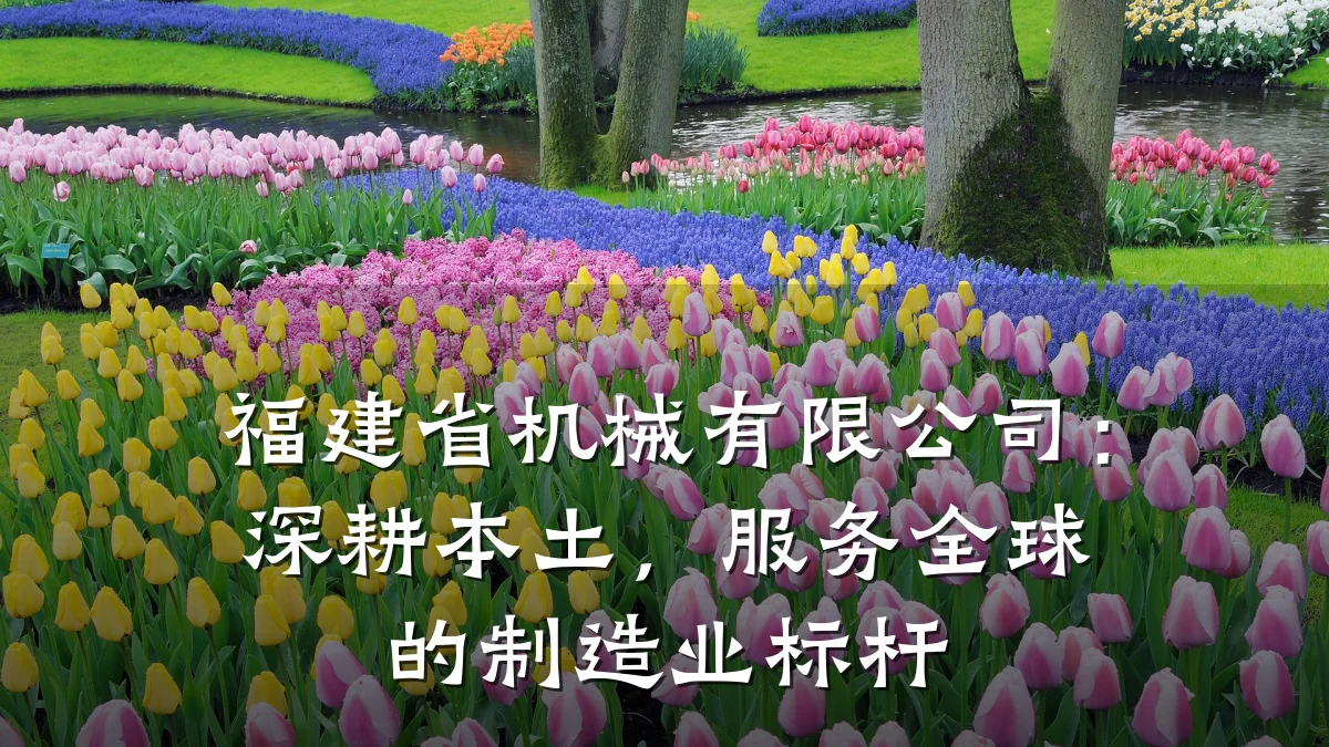 福建省机械有限公司:深耕本土,服务全球的制造业标杆