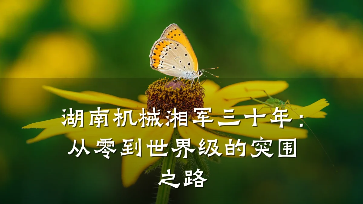 湖南机械湘军三十年:从零到世界级的突围之路