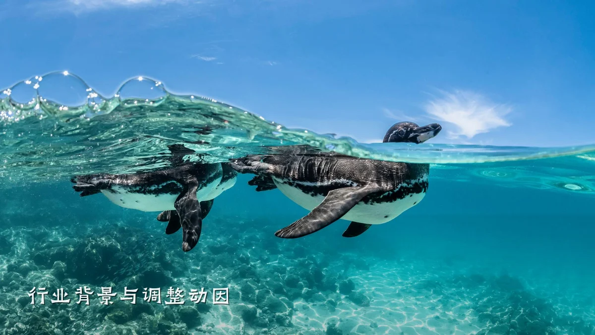 行业背景与调整动因
