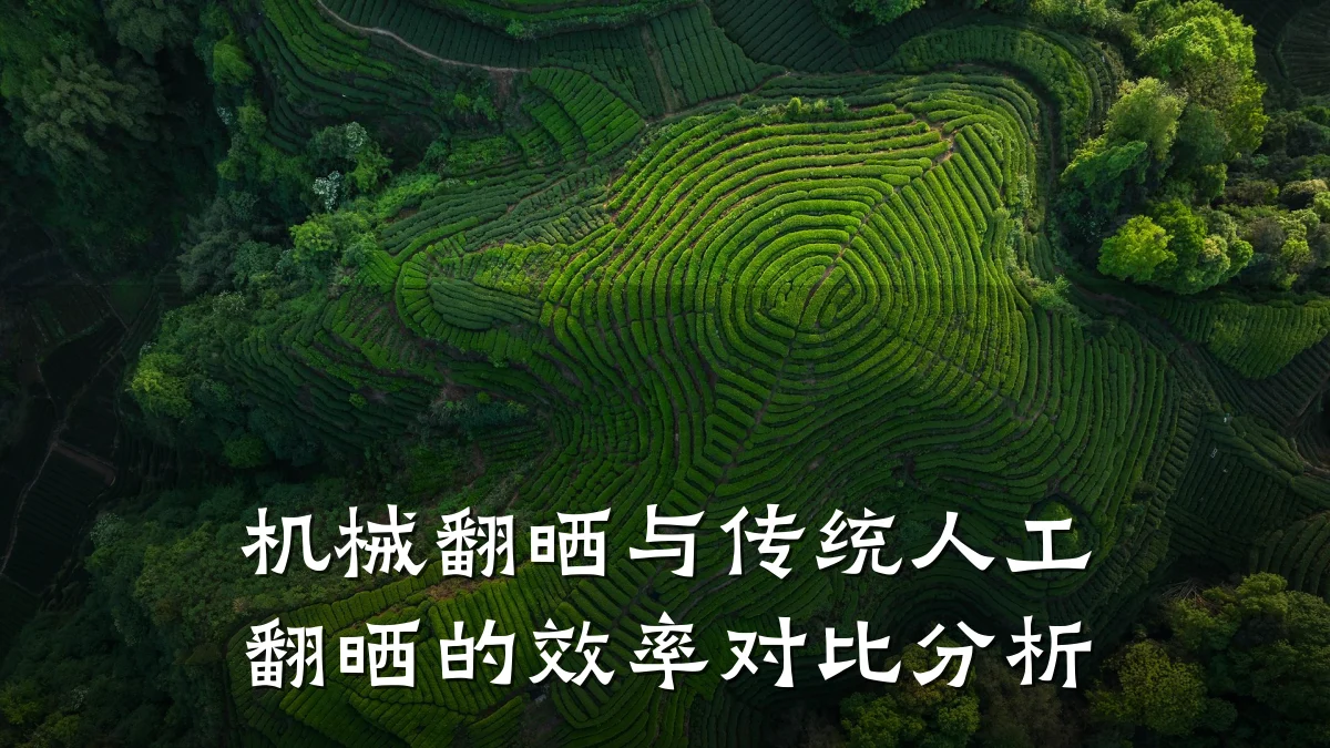 机械翻晒与传统人工翻晒的效率对比分析