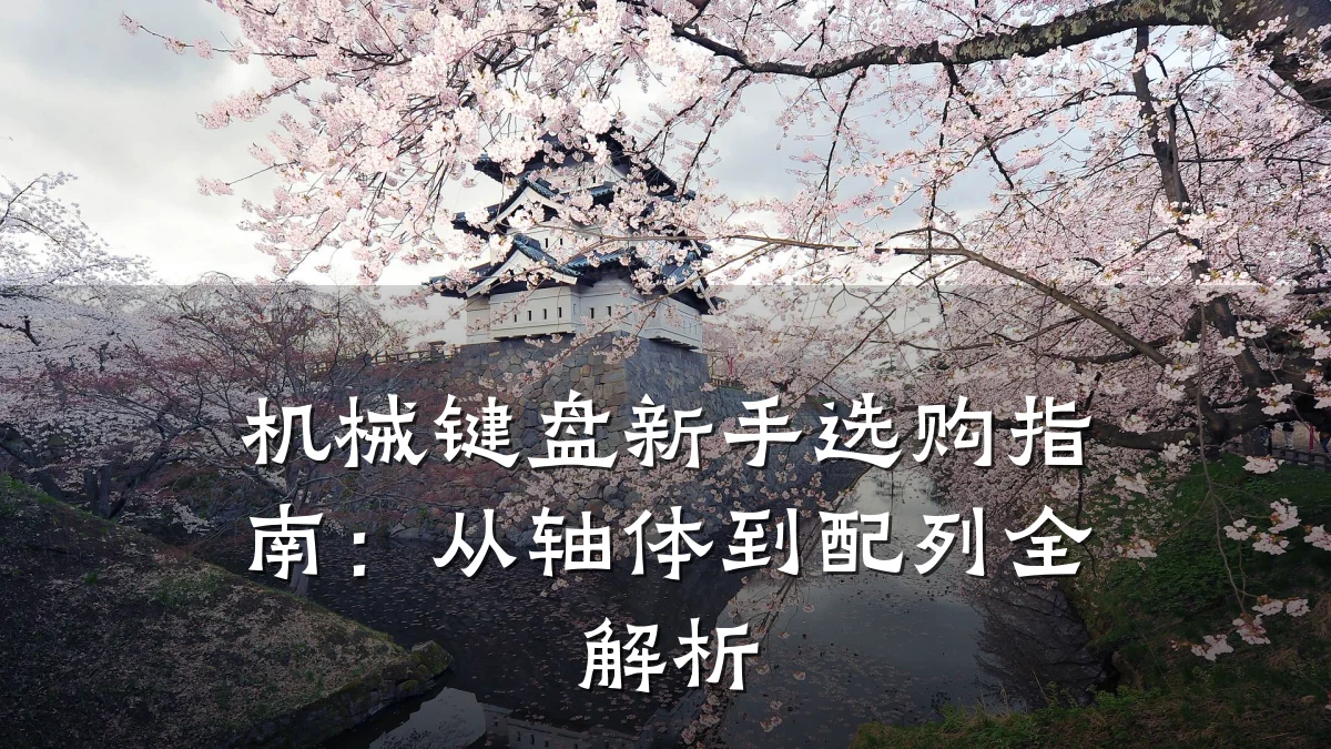机械键盘新手选购指南:从轴体到配列全解析