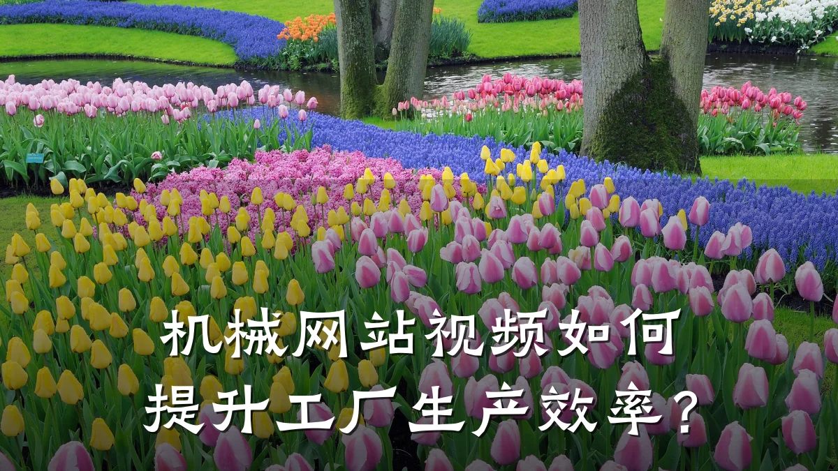 机械网站视频如何提升工厂生产效率？