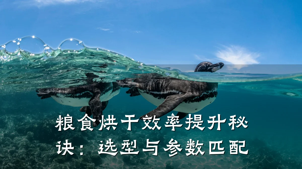 粮食烘干效率提升秘诀:选型与参数匹配