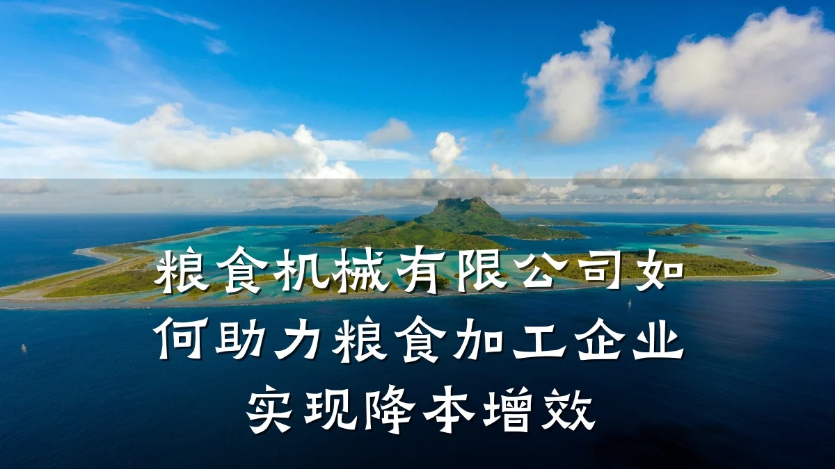 粮食机械有限公司如何助力粮食加工企业实现降本增效