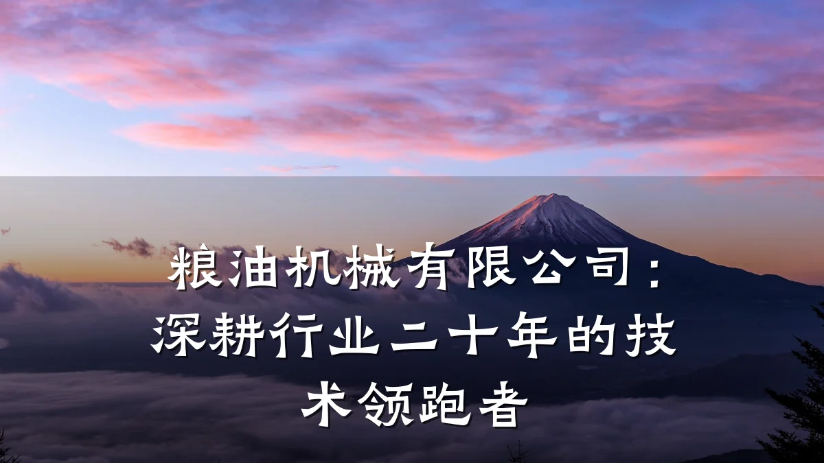 粮油机械有限公司：深耕行业二十年的技术领跑者