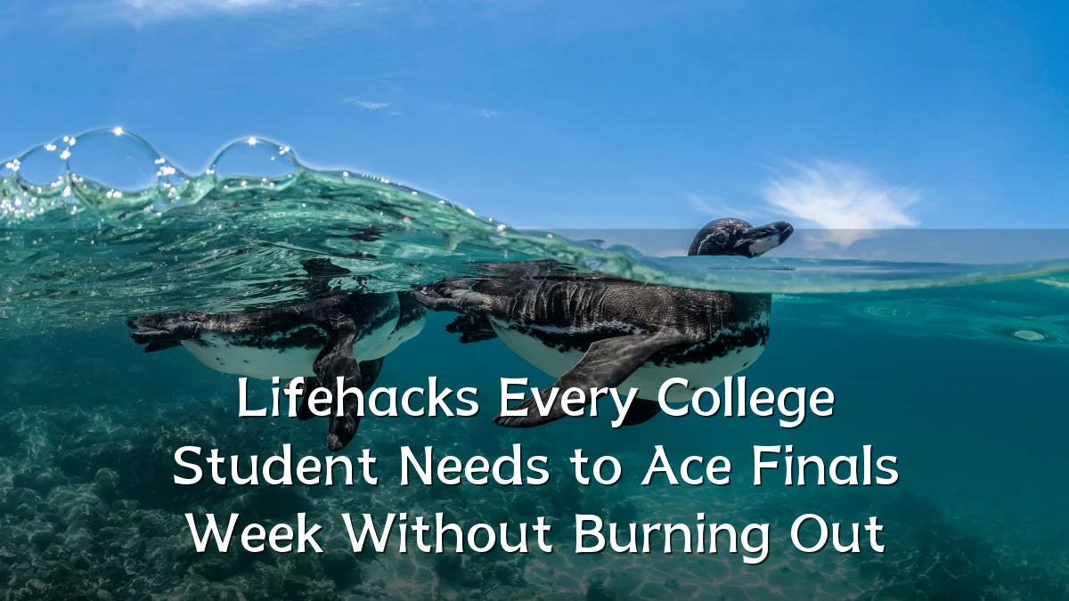 Lifehacks Every College Student Needs to Ace Finals Week Without Burning Out