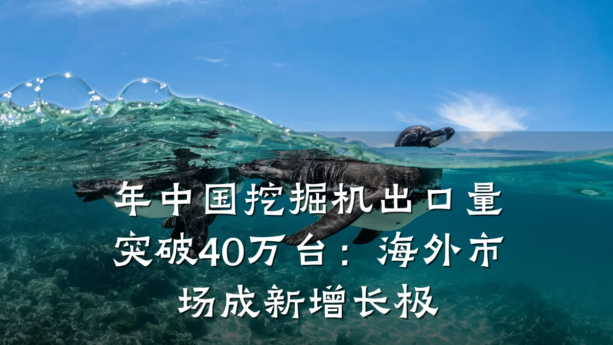 年中国挖掘机出口量突破40万台:海外市场成新增长极