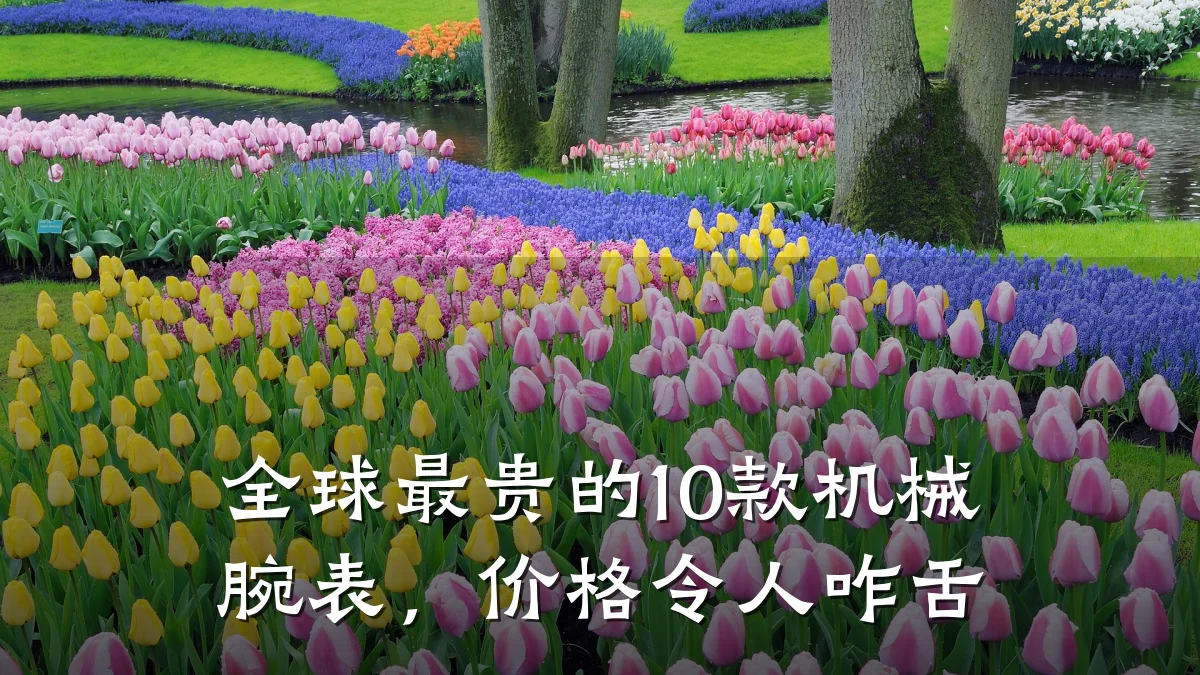 全球最贵的10款机械腕表,价格令人咋舌