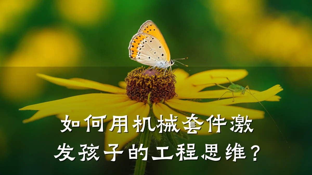 如何用机械套件激发孩子的工程思维？