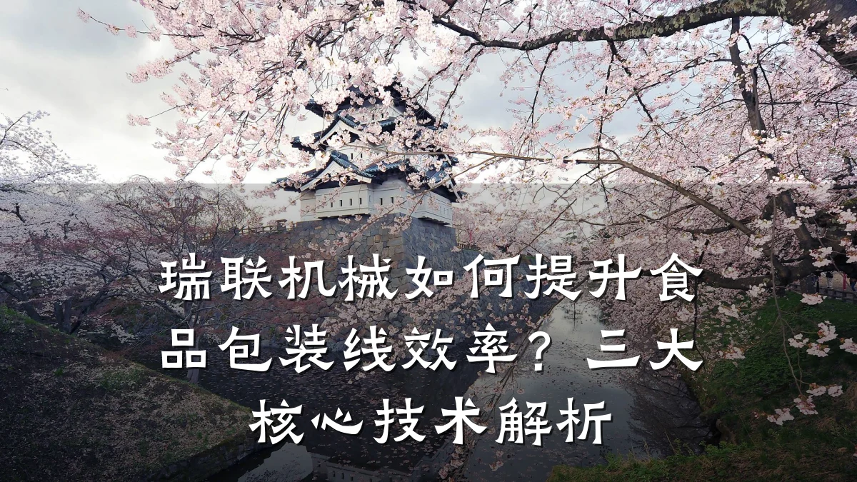 瑞联机械如何提升食品包装线效率?三大核心技术解析