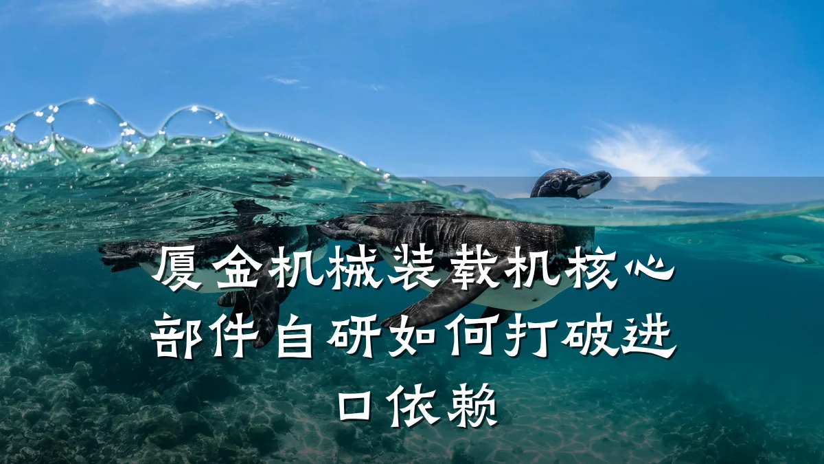 厦金机械装载机核心部件自研如何打破进口依赖