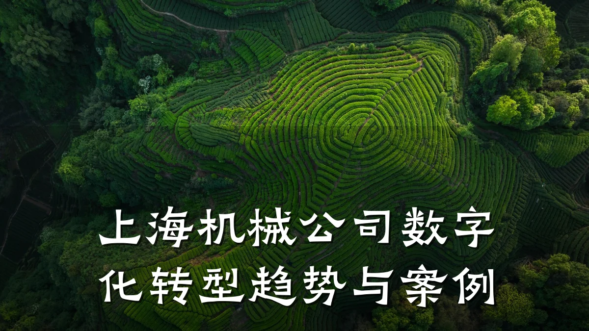 上海机械公司数字化转型趋势与案例