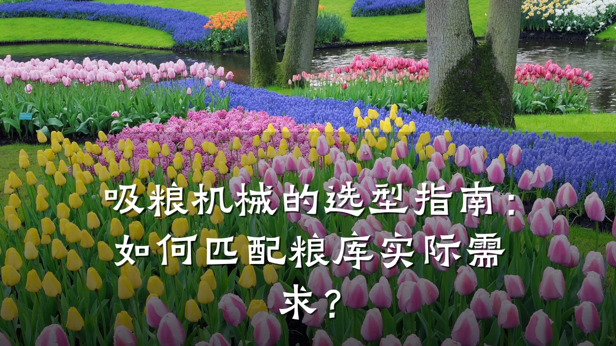 吸粮机械的选型指南：如何匹配粮库实际需求？