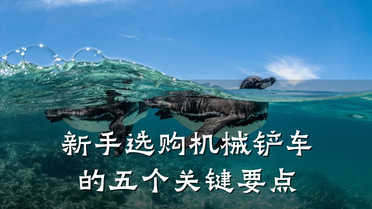 新手选购机械铲车的五个关键要点