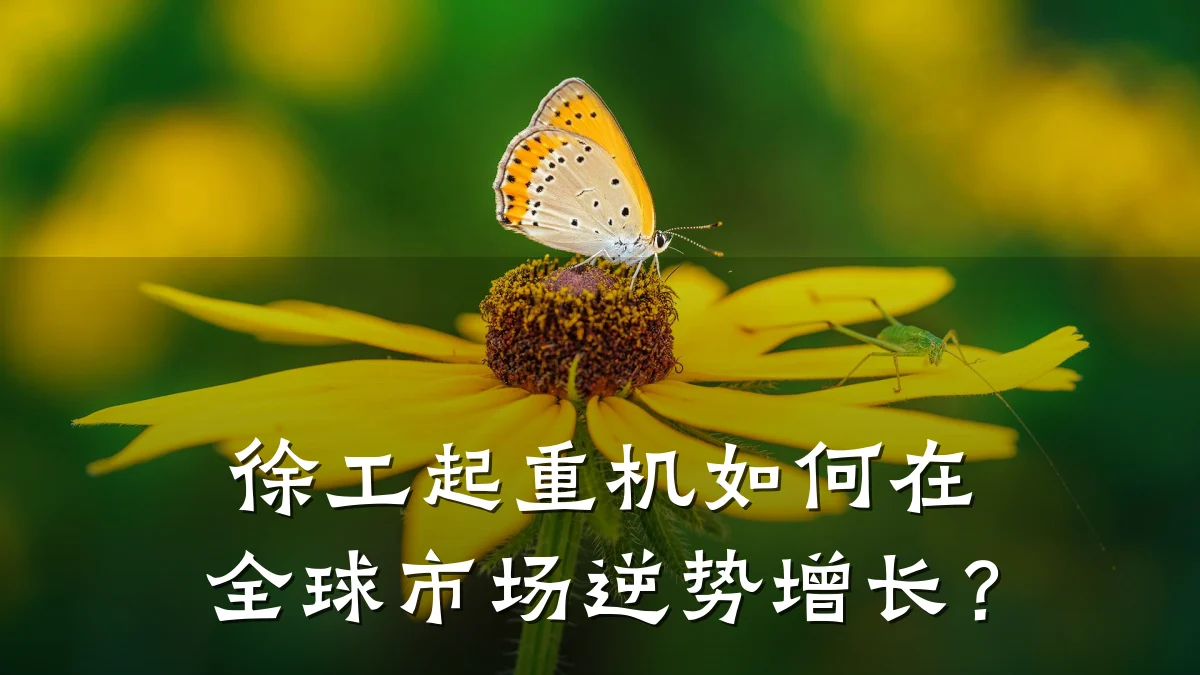 徐工起重机如何在全球市场逆势增长?