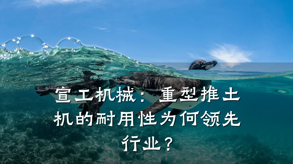 宣工机械:重型推土机的耐用性为何领先行业?