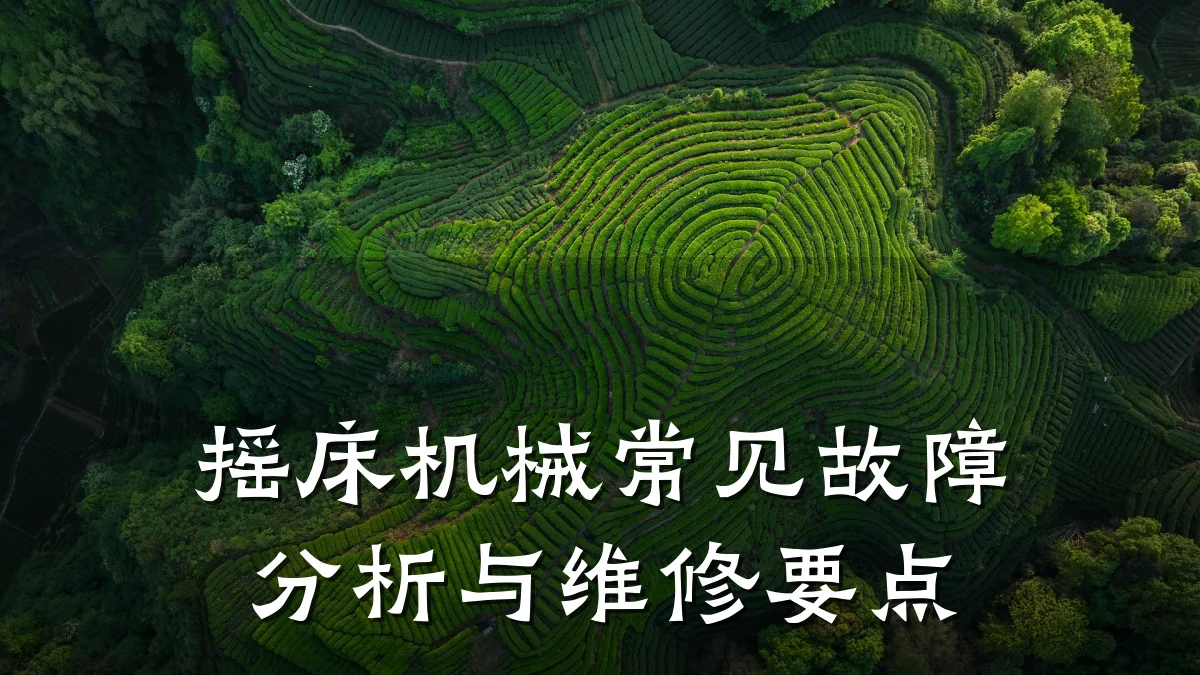 摇床机械常见故障分析与维修要点