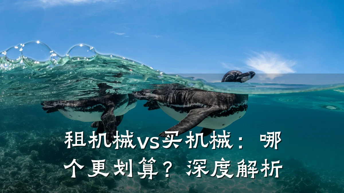 租机械vs买机械:哪个更划算?深度解析