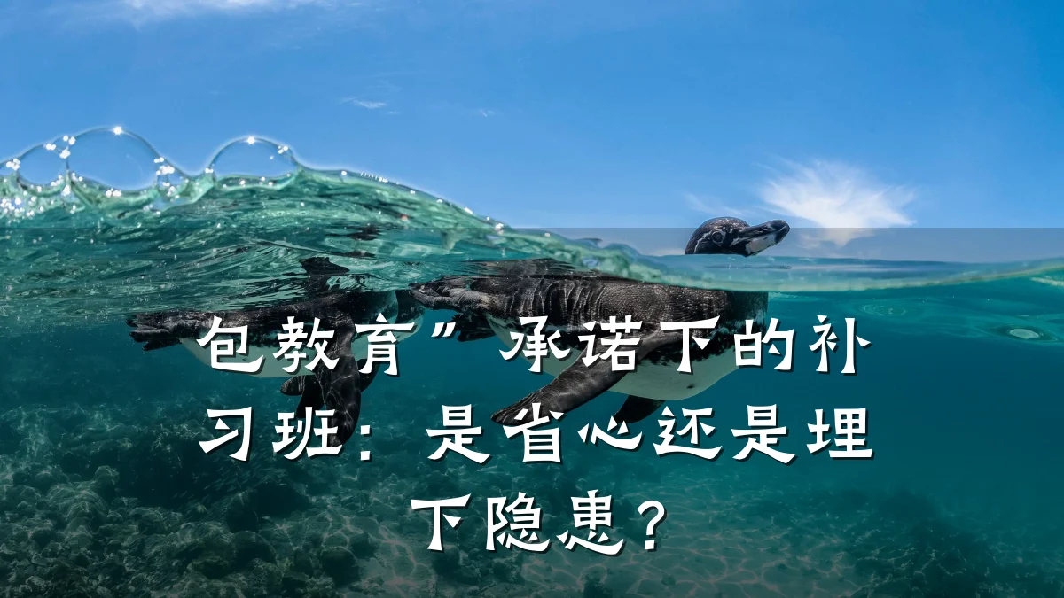 包教育”承诺下的补习班:是省心还是埋下隐患?