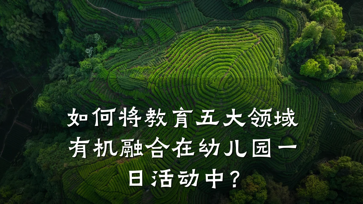 如何将教育五大领域有机融合在幼儿园一日活动中?