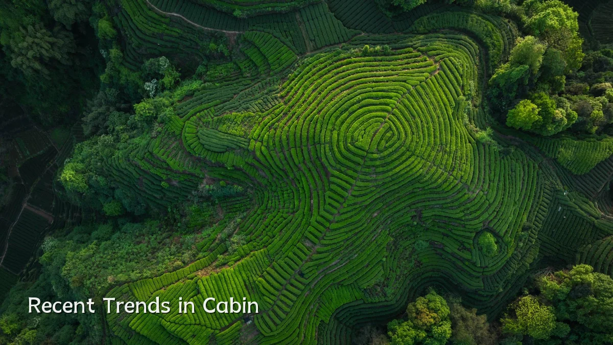 Recent Trends in Cabin